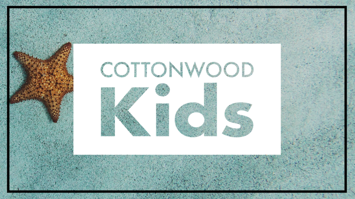 Baby Dedication logo image