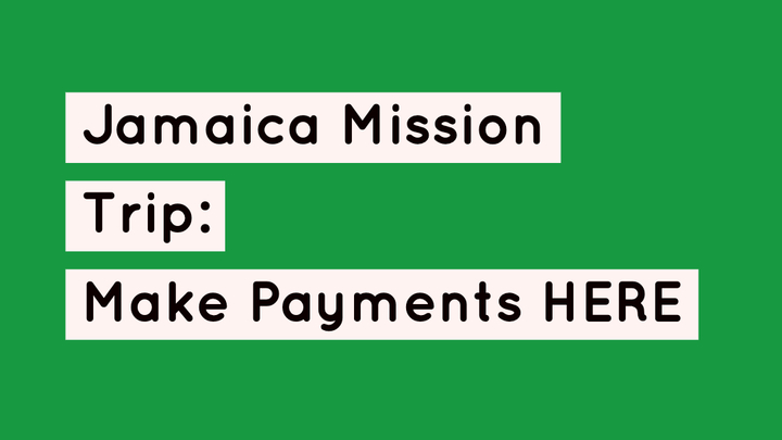 Jamaica Payment Portal logo image