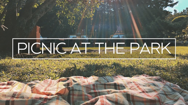 Picnic at the Park logo
