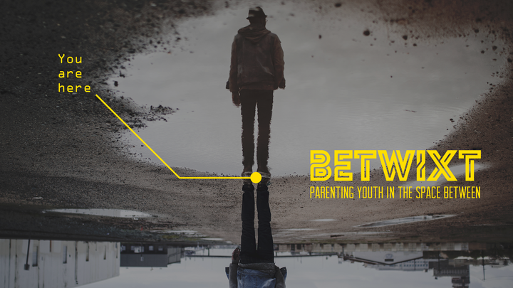 Medium 06betwixt for pc
