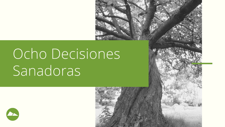 Ocho Decisiones Sanadoras | Internacional logo image