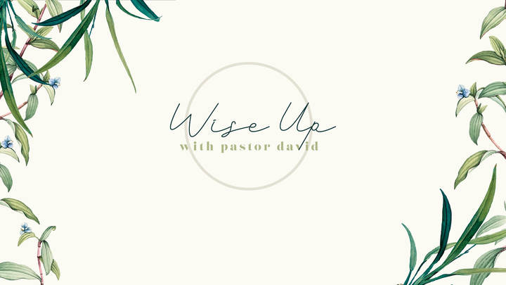 Wise Up with Pastor David logo image