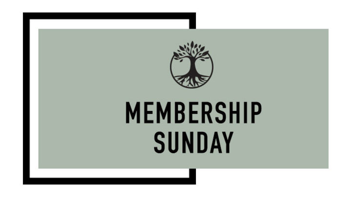 2019 BCC Membership logo image