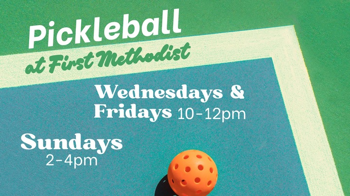 Adult Pickleball logo