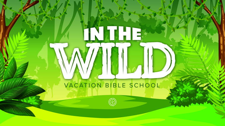 In the Wild VBS logo image