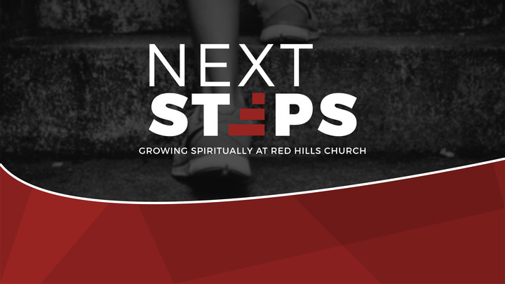 Next Steps logo image