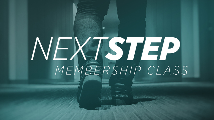 Next Steps Class logo image
