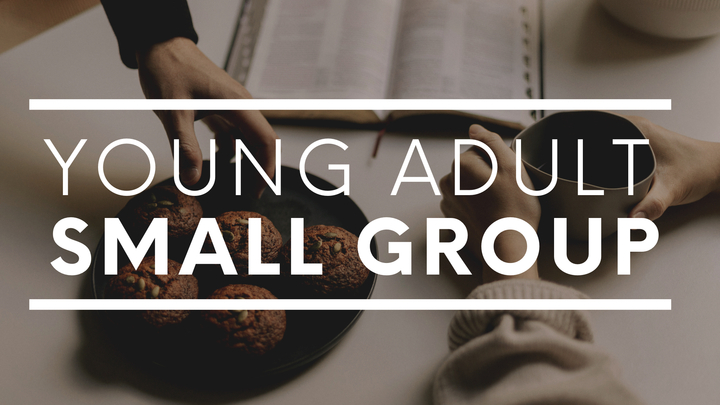 Young Adult Small Group logo