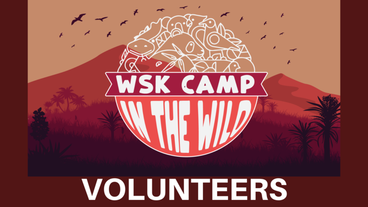 Wellspring Kid's Camp VOLUNTEER SIGN UP logo image