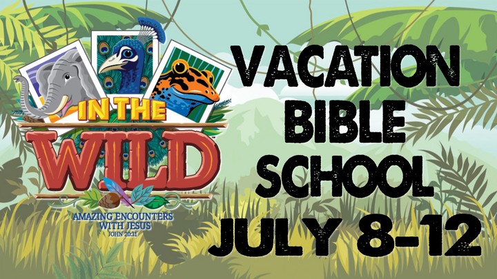 Vacation Bible School 2019 logo image