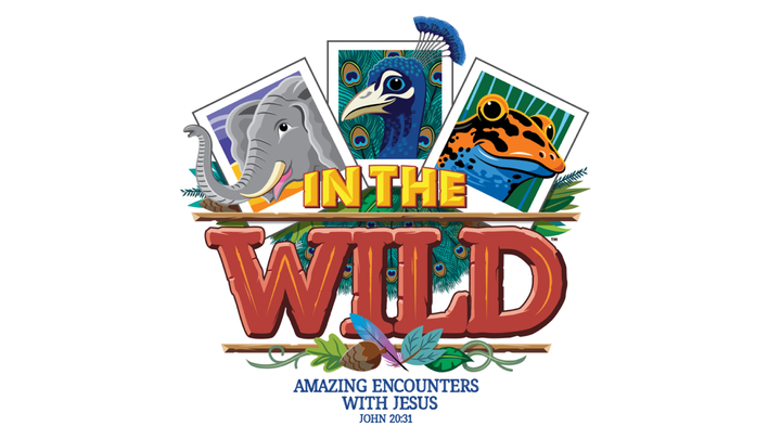 2019 Vacation Bible School logo image