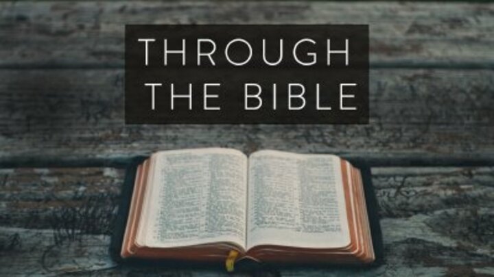 Through the Bible with Mark Shelton (2025) logo
