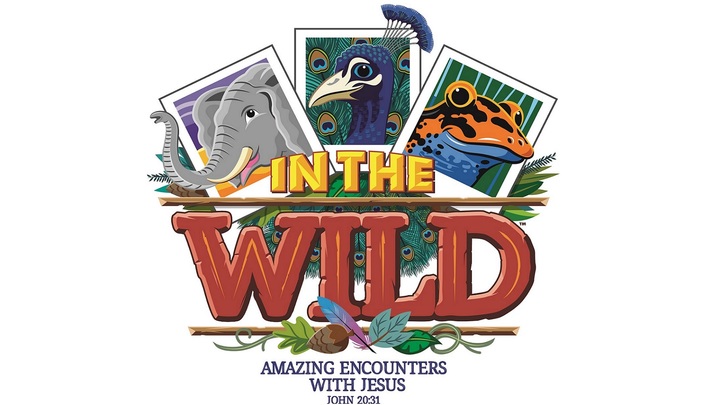Vacation Bible School 2019 logo image