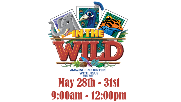 VBS 2019 logo image