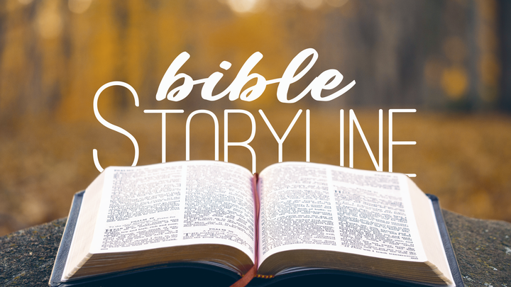 Bible Storyline logo image