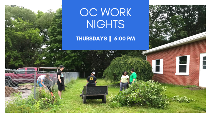 VOLUNTEER AT THE OC logo image