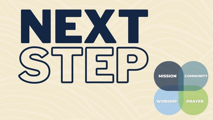 NEXT STEP logo