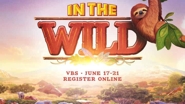 IN THE WILD: VBS logo image
