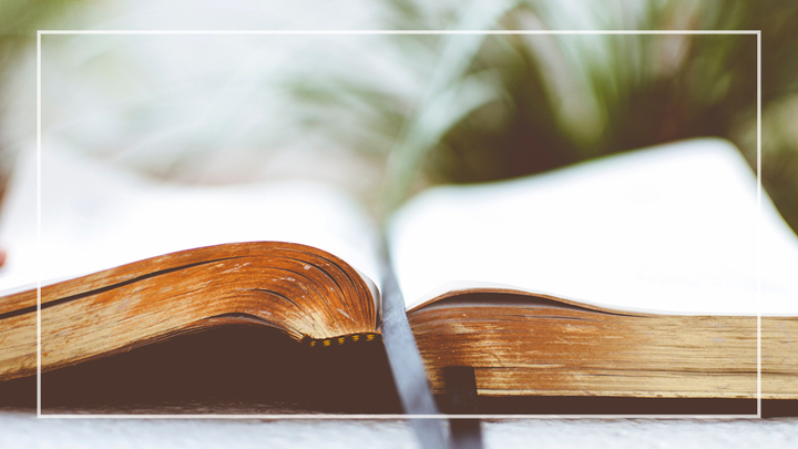 LTP: Learning Biblical History logo image