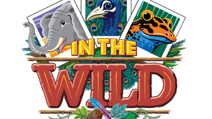 Vacation Bible School logo image