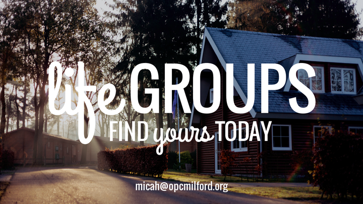 Life Groups Leader Training logo image