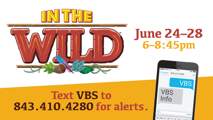 VBS 2019 • In the Wild logo image