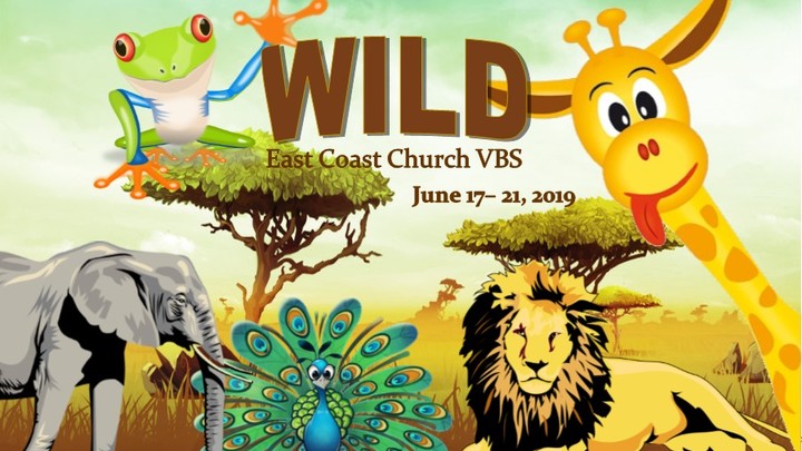 VBS 2019 logo image