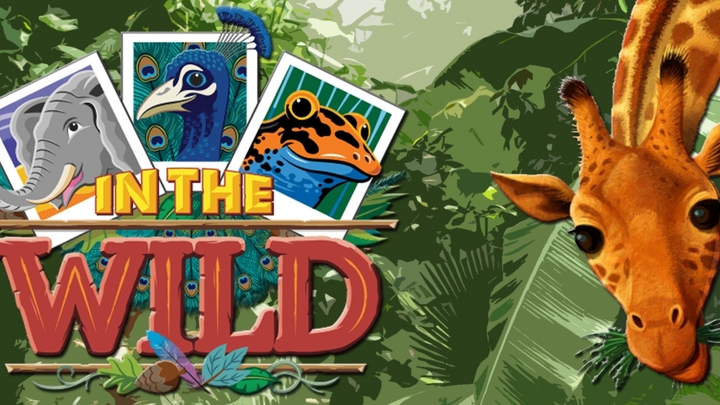 VBS 2019 In the Wild logo image