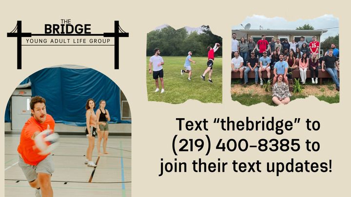 The Bridge | Young Adults logo