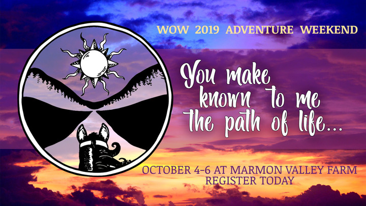 WOW 2019 Adventure Weekend logo image