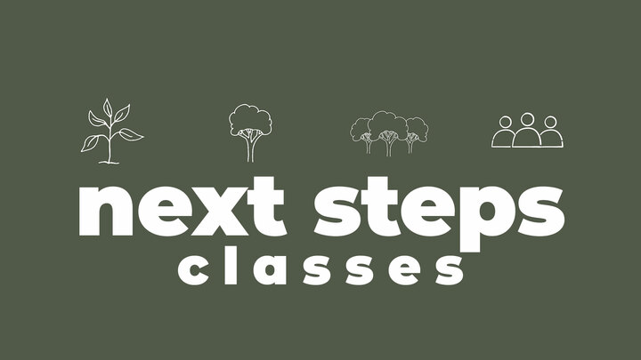 Next Steps Classes logo