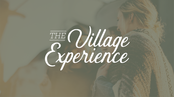 Village Experience logo image