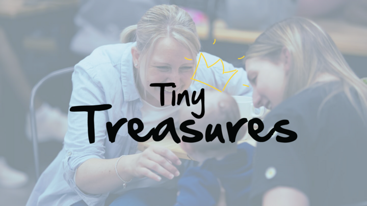 Tiny Treasures logo