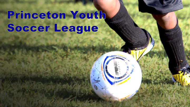 2019 Princeton Fall Youth Soccer League logo image