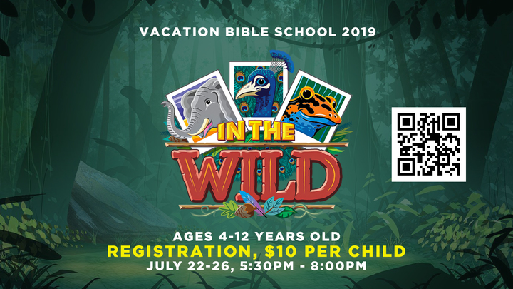 Vacation Bible School 2019: In The Wild logo image