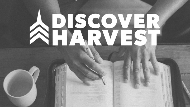 Discover Harvest logo image