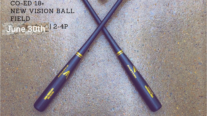 co-ed adult whiffle ball logo image