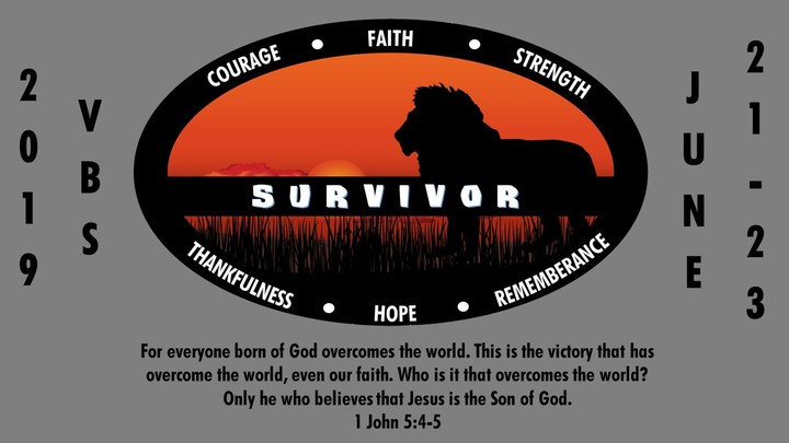 VBS 2019 logo image