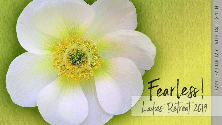 Fearless! - Ladies' One Day Retreat logo image