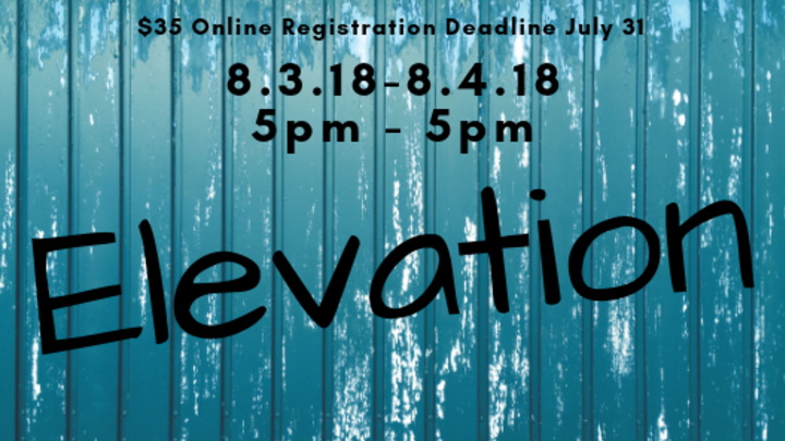 Elevation 2019 logo image