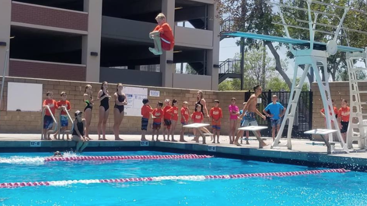 Biola Pool logo image
