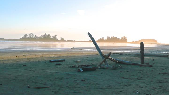 Tofino Day Trip logo image