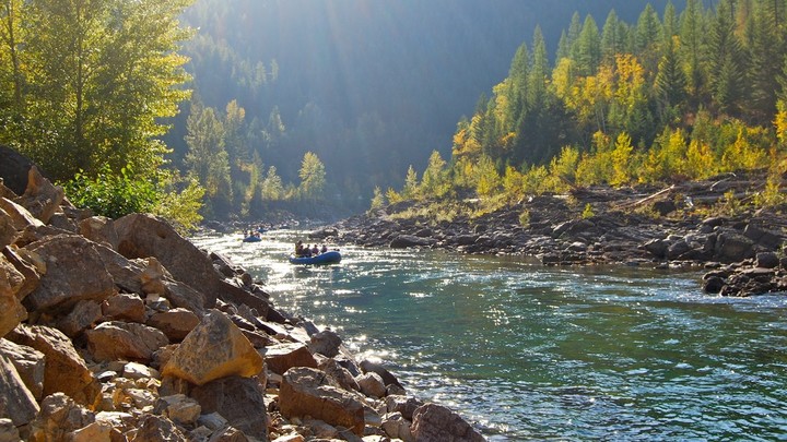 Float Trip logo image
