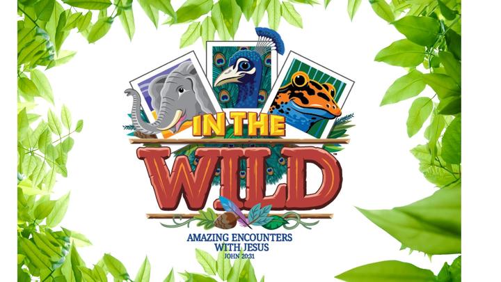 VBS 2019 In the Wild! logo image