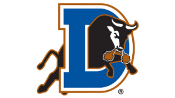 2019 Durham Bulls Game logo image