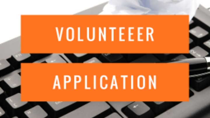 Volunteer Application For Children and Youth logo image