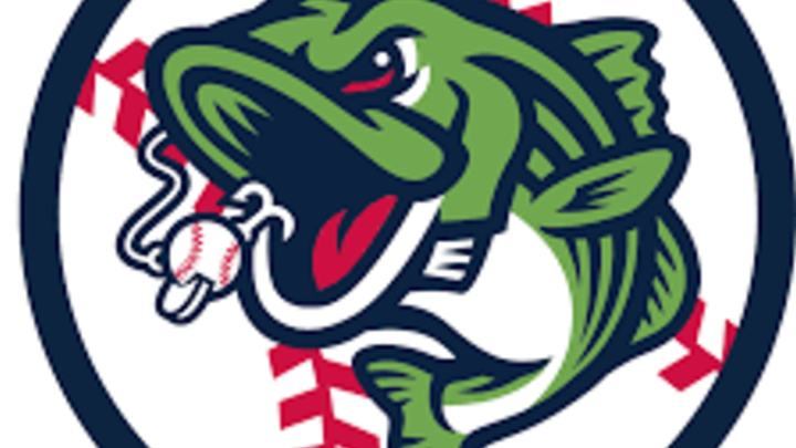 Gwinnett Stripers logo image