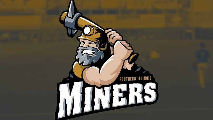 Men's Night at the Ball Park- Miners vs Boomers logo image
