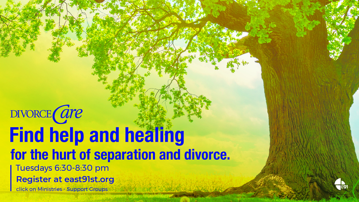 Divorce Care logo image