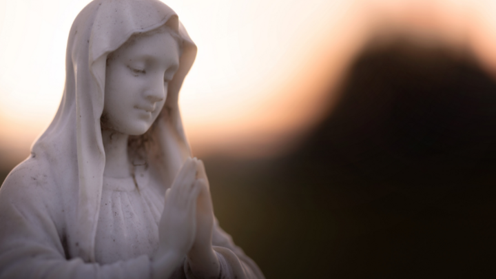 The Solemnity of the Immaculate Conception of Blessed Virgin Mary logo